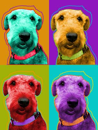 airedale art