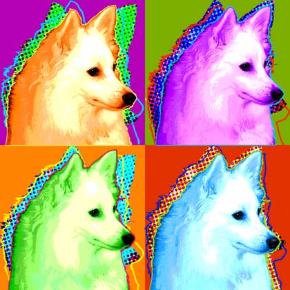 american eskimo pictures and art