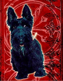 scottish terrier art