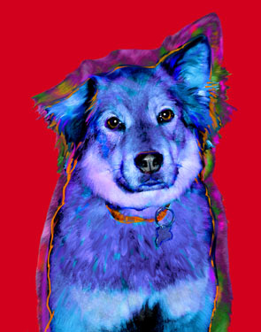 Dog painting