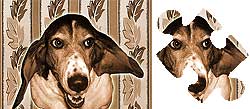 basset hound game