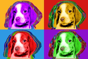 cool beagle puppy art