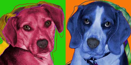 pop art beagle