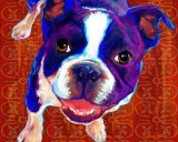 boston terrier canvas