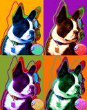 boston terrier pop art