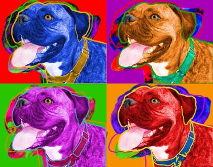 boxer dog art