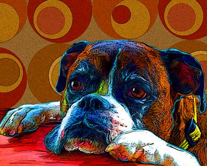 boxer painting