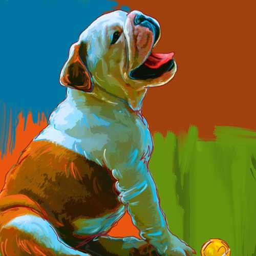 bulldog puppy art