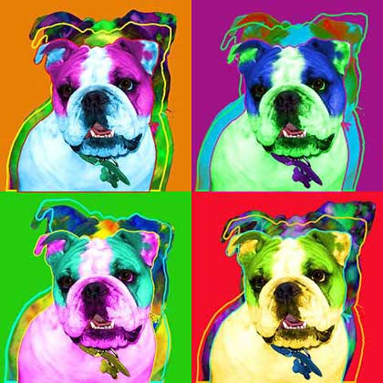 bulldogs art