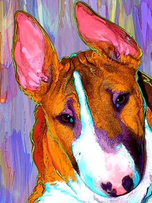 bull terrier art