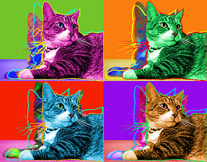 tabby cat warhol art