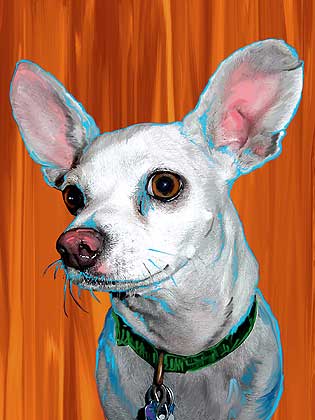 chihuahua dog art