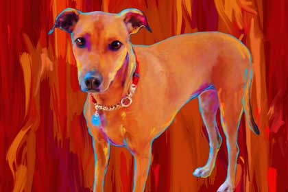 dog art portrait