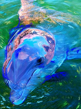dolphin artwork