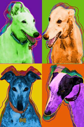 greyhound dog art