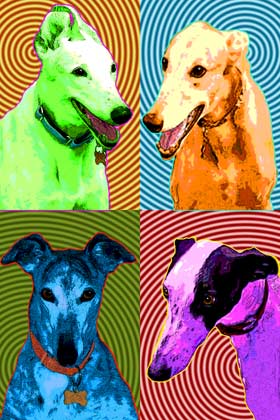 pop art greyhounds