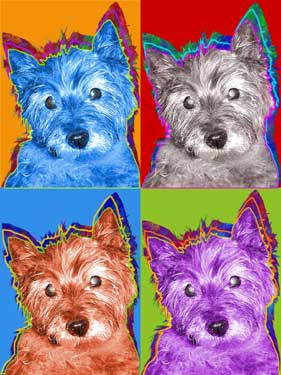 cairn terrier art