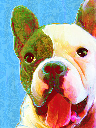 French Bulldog Artwork