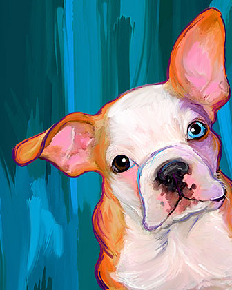 bulldog portrait