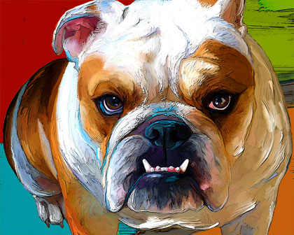english bulldog painting