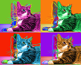 tabby cat pop art