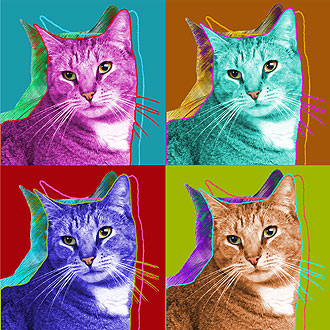 tabby cat warhol art