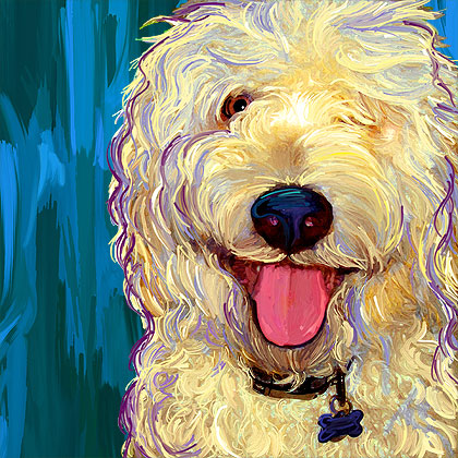 wheaten terrier dog portrait