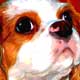 king charlews custom pet portrait