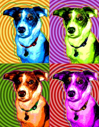 pop art dog portrait