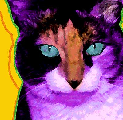 Cat Pop Art