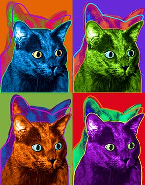 Pop art cats