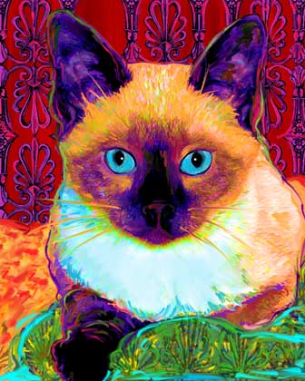 cat portraits by art paw prints on canvas cat art 336x420