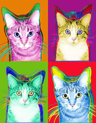 warhol cat art