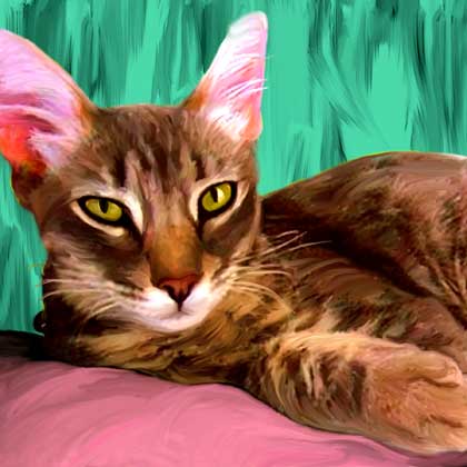 painterly cat portrait