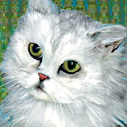persian cat art
