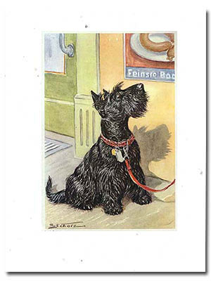 vinage scottie art