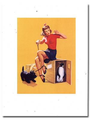 scotty dog retro picture cards