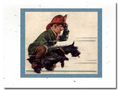 scotty dog greeting cards