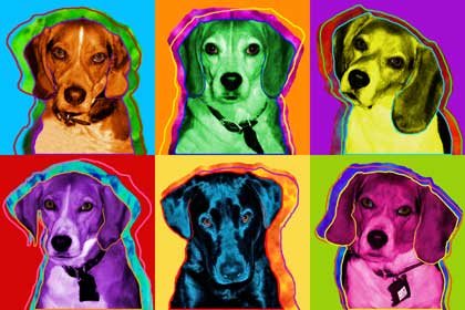 beagle pop art