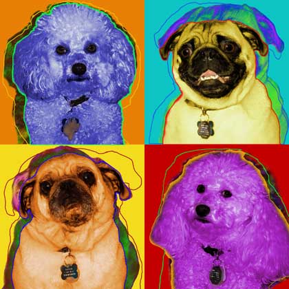 pug art