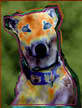 artpaw greyhound